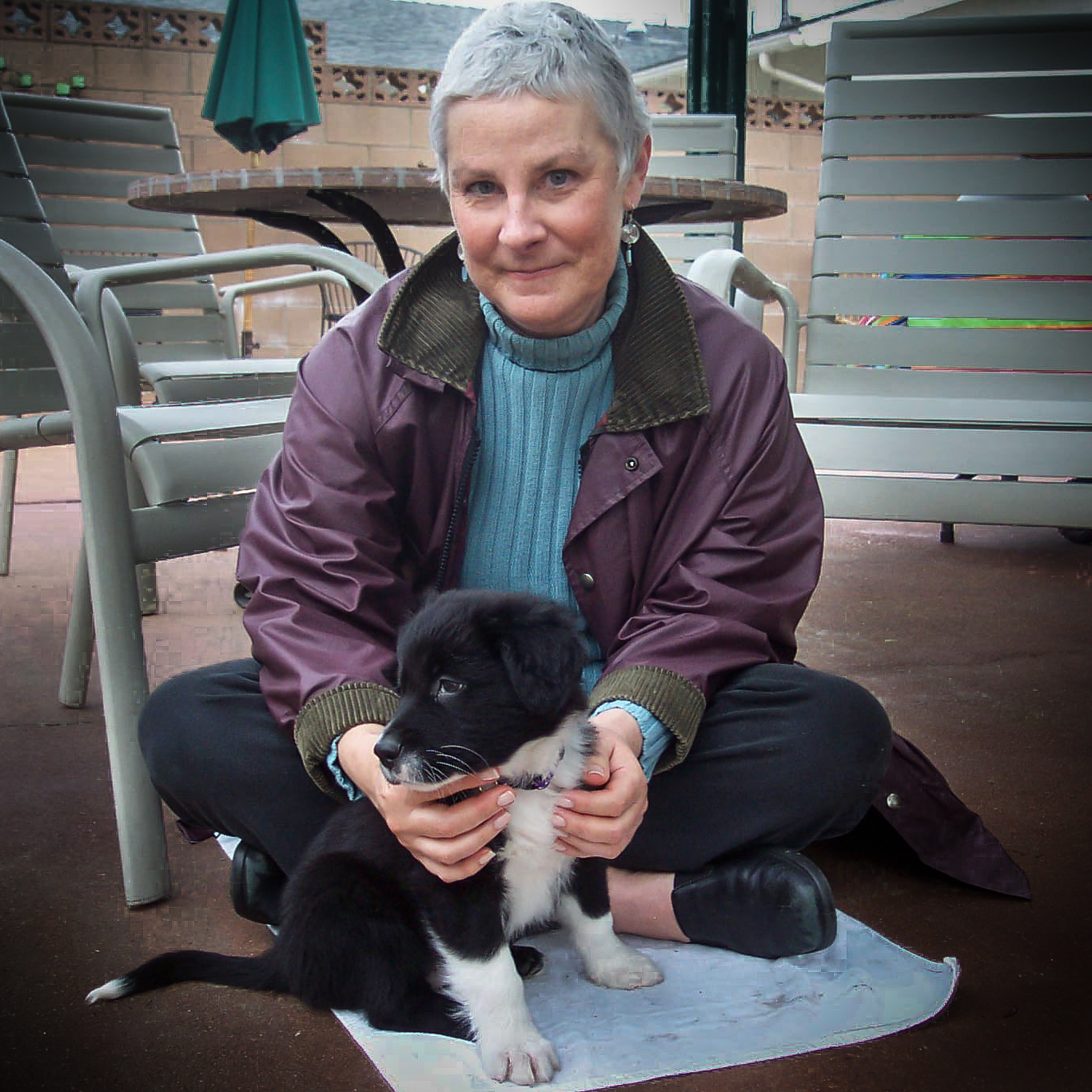 Border collie puppy and woman with grey hair